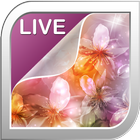 Magic Flowers Live Wallpaper آئیکن