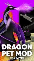 Pet Dragon Mod poster