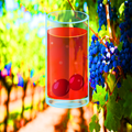 Healthy Drinks