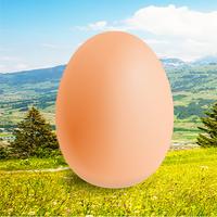 Egg Plakat
