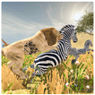 Wild Lion Safari Simulator 3D: 2020 Season