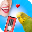 Bird Translator Simulator APK