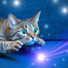 Cat Laser icon