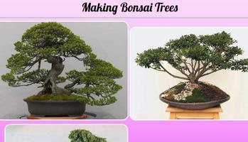 Poster Fare alberi bonsai