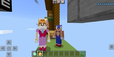 Sonic Minecraft Mod Plakat