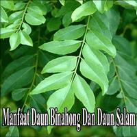 Manfaat Daun Binahong Dan Daun Salam स्क्रीनशॉट 1