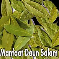 برنامه‌نما Manfaat Daun Salam عکس از صفحه