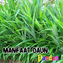 Avantages des feuilles de Pandan APK