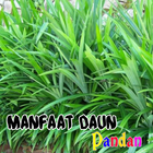 Benefits of Pandan Leaves icon