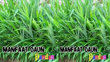 Benefits of Pandan Leaves poster