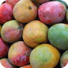 Mango Wallpaper ไอคอน