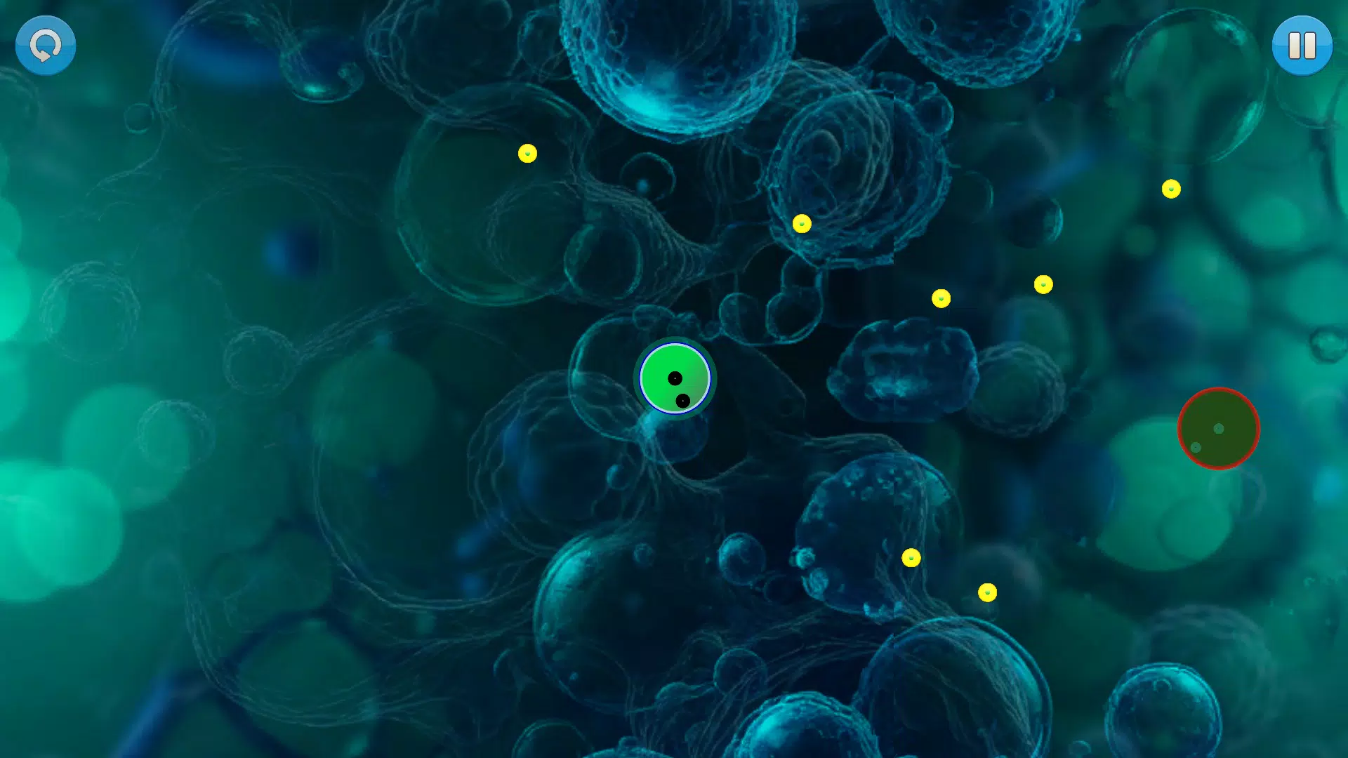 Cell Evolution: Eat & Grow