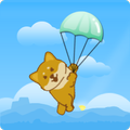 Shiba Jumpu