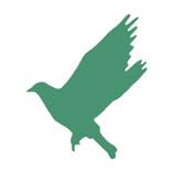 Meetplace - Dating, Chat, New friends