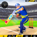 World Cricket Match Leauge APK