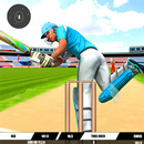 Real T20 PSL Cricket Games APK