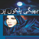 Bheegi Palkon Par Urdu Novel APK