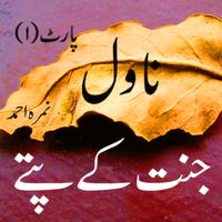 Jannat k pattay Urdu Novel Poster