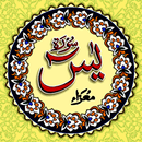 Surah yaseen - Surat yasin APK