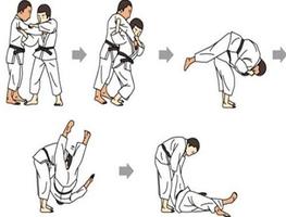 Martial Arts Techniques screenshot 2