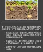 Potato Cultivation screenshot 2