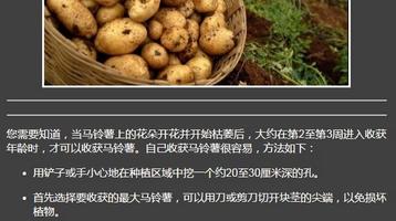 Potato Cultivation screenshot 3