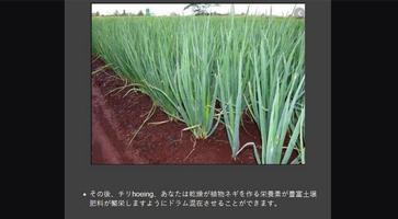 Successful cultivation of leek screenshot 1