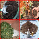 faire un compost simple, APK