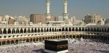 Mecca Live Wallpaper