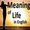 Meaning of Life-APK