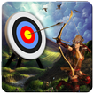 Bow And Arrows Archery 2016