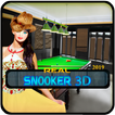 Real Snooker 3D 2019