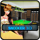Real Snooker 3D 2019 icône