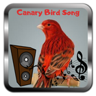 Canary Bird icône