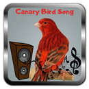 Canary Bird Song Canary Master Free Online APK