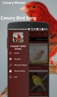 Canary Bird capture d'écran 2