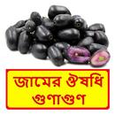 জামের ঔষধি গুণাগুণ APK