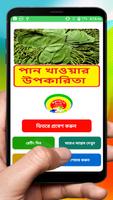 পানপাতার গুনাগুন ও অপকারিতা~ Benefit of Betel leaf poster