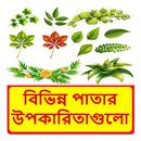 বিভিন্ন পাতার উপকারিতাগুলো APK