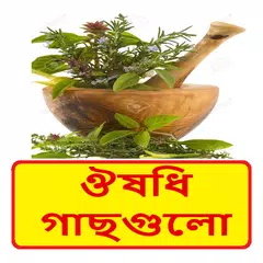 জেনে রাখুন ঔষধি গাছগুলোর  গুণাগুণ