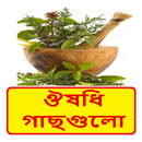 APK জেনে রাখুন ঔষধি গাছগুলোর  গুণাগুণ