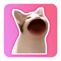 Pop Cat