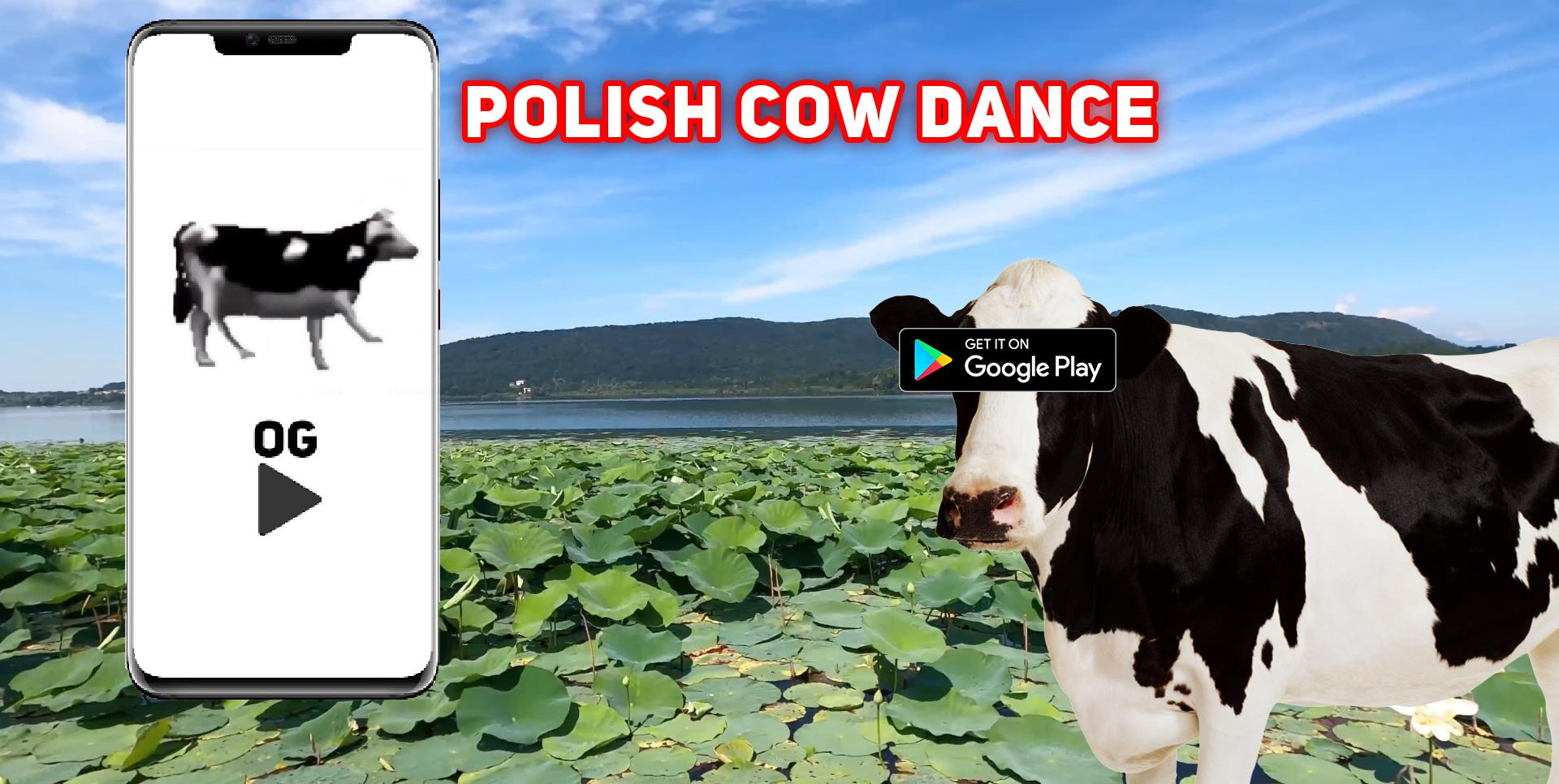 Polish cow текст. Polish Cow игра. Polish Cow название. Польская корова обложка. Польская корова осу.