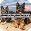 Szkolenie owczarka niemieckieg