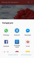 Mesaje de Sarbatori 截图 2