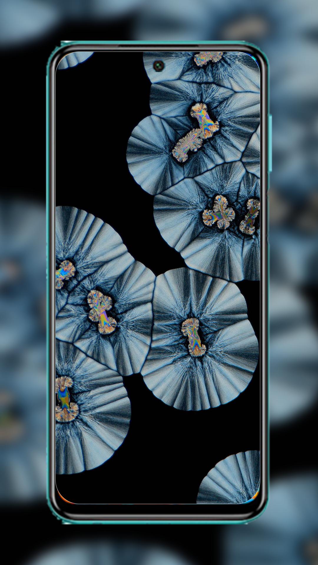 Tải xuống APK MIUI 13 Wallpaper cho Android