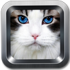 Meow Wallpaper APK