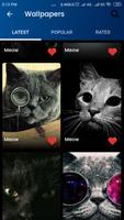 Meow Wallpaper screenshot 6
