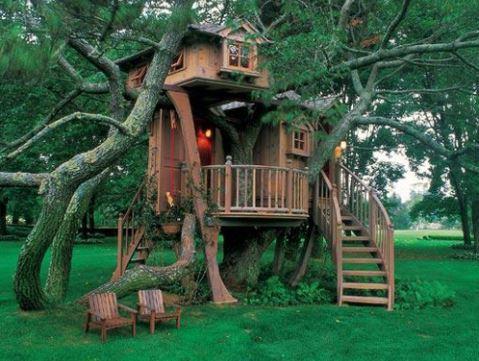 House Model Design Ideas On Trees For Android Apk House Model Design Ideas On Trees For Android Apk
