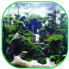 The Best Aquascape Ideas Today آئیکن